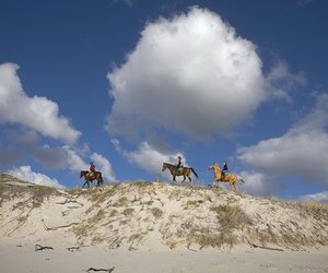 5 Ways to Explore Gansbaai