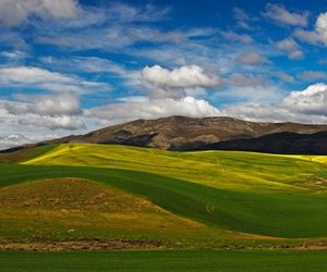 Week 4 of 2014 - Gansbaai News, Specials & Events