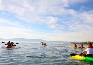 Updated Week 5 of 2014 - Gansbaai News, Specials & Events