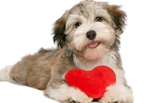 Loving the Overberg - Weekly Update Week 7