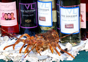 Festivities Galore - Weekly Update week 14