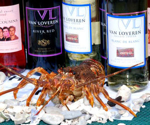 Festivities Galore - Weekly Update week 14