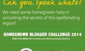 Can you speak Whale?