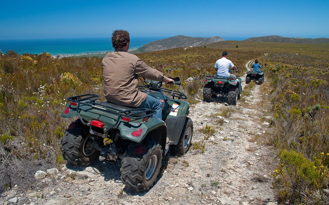 Quad Biking in Stanford Quad Biking in Stanford