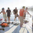 Ferry Rides Ferry Rides