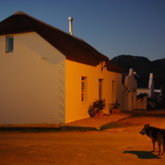 Caledon Street by Night