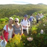 The Fynbos Trail