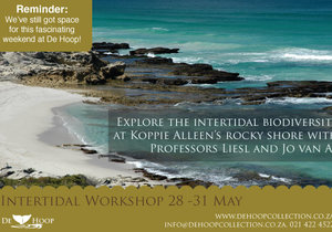 De Hoop Inter-Tidal Workshop 28-31 May