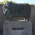 Merino Statue in Bredasdorp