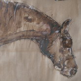 Horses head - inks
