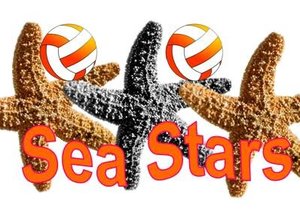 Sea Stars is woelig