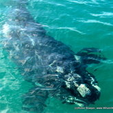 Gotta love clear turquoise water!!!