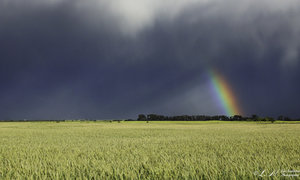 A Stone's Throw from the Best in Cape Agulhas
