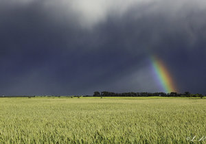 A Stone's Throw from the Best in Cape Agulhas