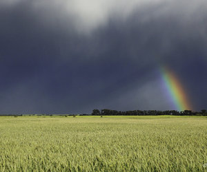 A Stone's Throw from the Best in Cape Agulhas
