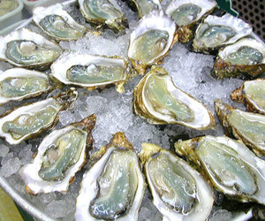 Top 4 Eateries in Arniston/Waenhuiskrans