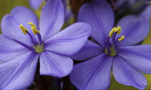 Experience the great outdoors with De Mond Nature Reserve