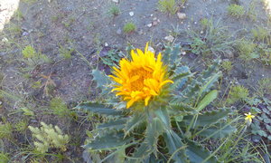 Alles ten goede (?) (!)