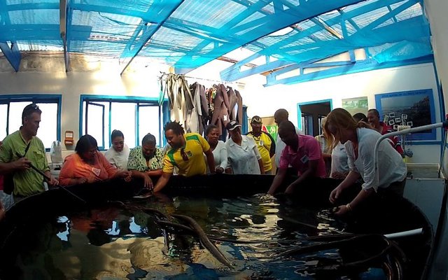 1646_546526088702648_233107334_n 1646_546526088702648_233107334_n