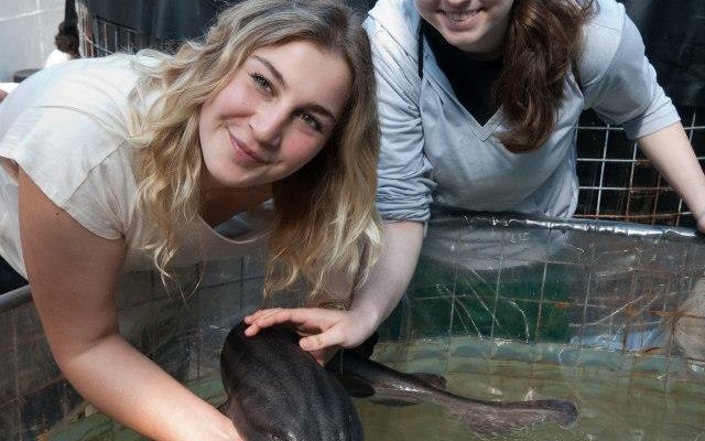 487775_530858790269378_183536670_n 487775_530858790269378_183536670_n