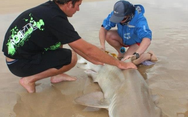 598825_543261805695743_2071535159_n 598825_543261805695743_2071535159_n