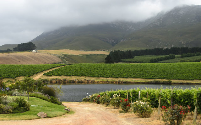 hemel-en-aarde-valley hemel-en-aarde-valley