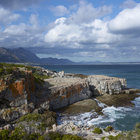 Hermanus Shoreline Hermanus Shoreline