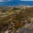 Hermanus - image courtesy of HD Photography Hermanus - image courtesy of HD Photography