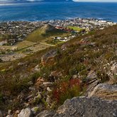 Hermanus - image courtesy of HD Photography