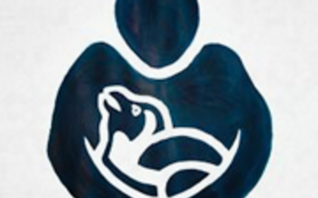 African Penguin and Seabird Sanctuary African Penguin and Seabird Sanctuary