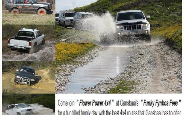4x4 Flower Power at The Funky Fynbos Festival 4x4 Flower Power at The Funky Fynbos Festival