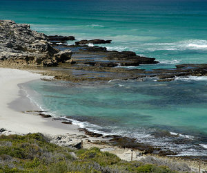 Say Yes! to De Hoop this YESvember