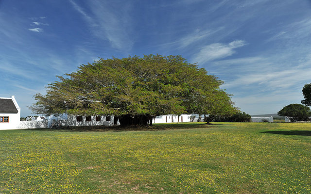 De Hoop Opstal - the 'hub' De Hoop Opstal - the 'hub'