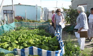 Blompark Garden Competition