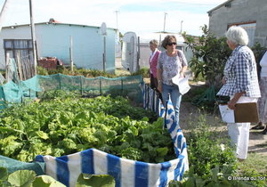 Blompark Garden Competition