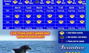 Weekly Trip Availability