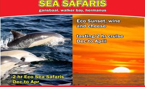 Sunset Cheese & Wine Cruise - DEC to APR