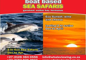 Sunset Cheese & Wine Cruise - DEC to APR