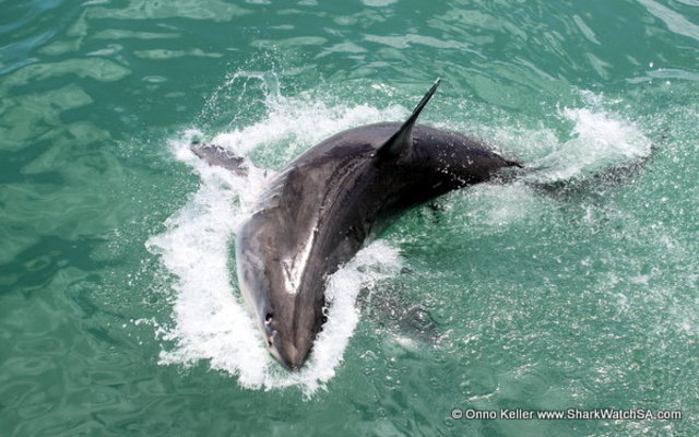 20141205_SF_Trip1_OKeller_IMG_0041_JPG