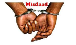  Paroollopers aangekeer