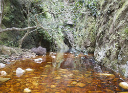 1. Greyton Nature Reserve