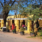 Oak and Vigne Oak and Vigne