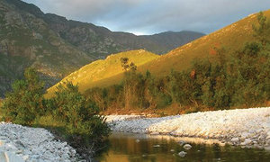 Greyton Nature Reserve