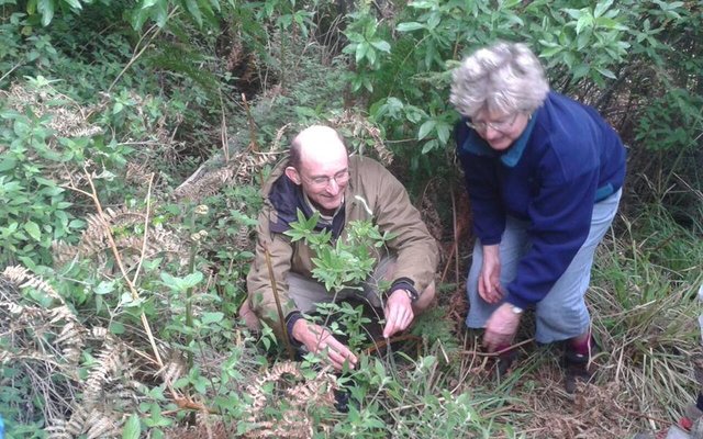 Planting a tree at Stinkhoutsbos