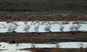 Escape to De Hoop for some birding photography and enter to win!