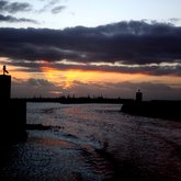 Back to the harbour after sunset