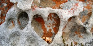 Valentine's Weekend Special at Quad Explore