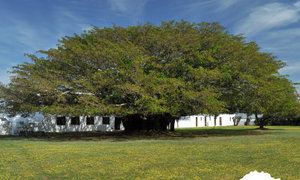 Picnic Season at De Hoop!