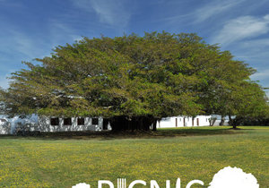 Picnic Season at De Hoop!