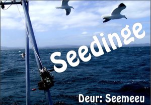 Respek vir die ankerman